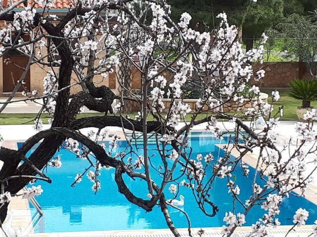 Mediterranean Garden Villa Vathí Zewnętrze zdjęcie