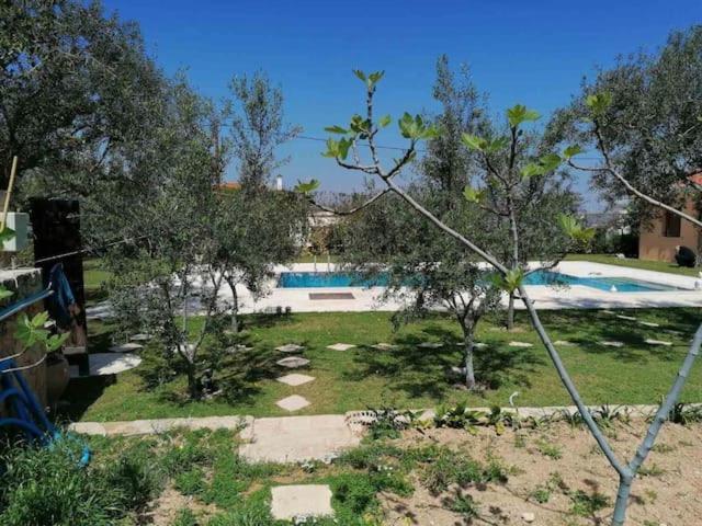 Mediterranean Garden Villa Vathí Zewnętrze zdjęcie